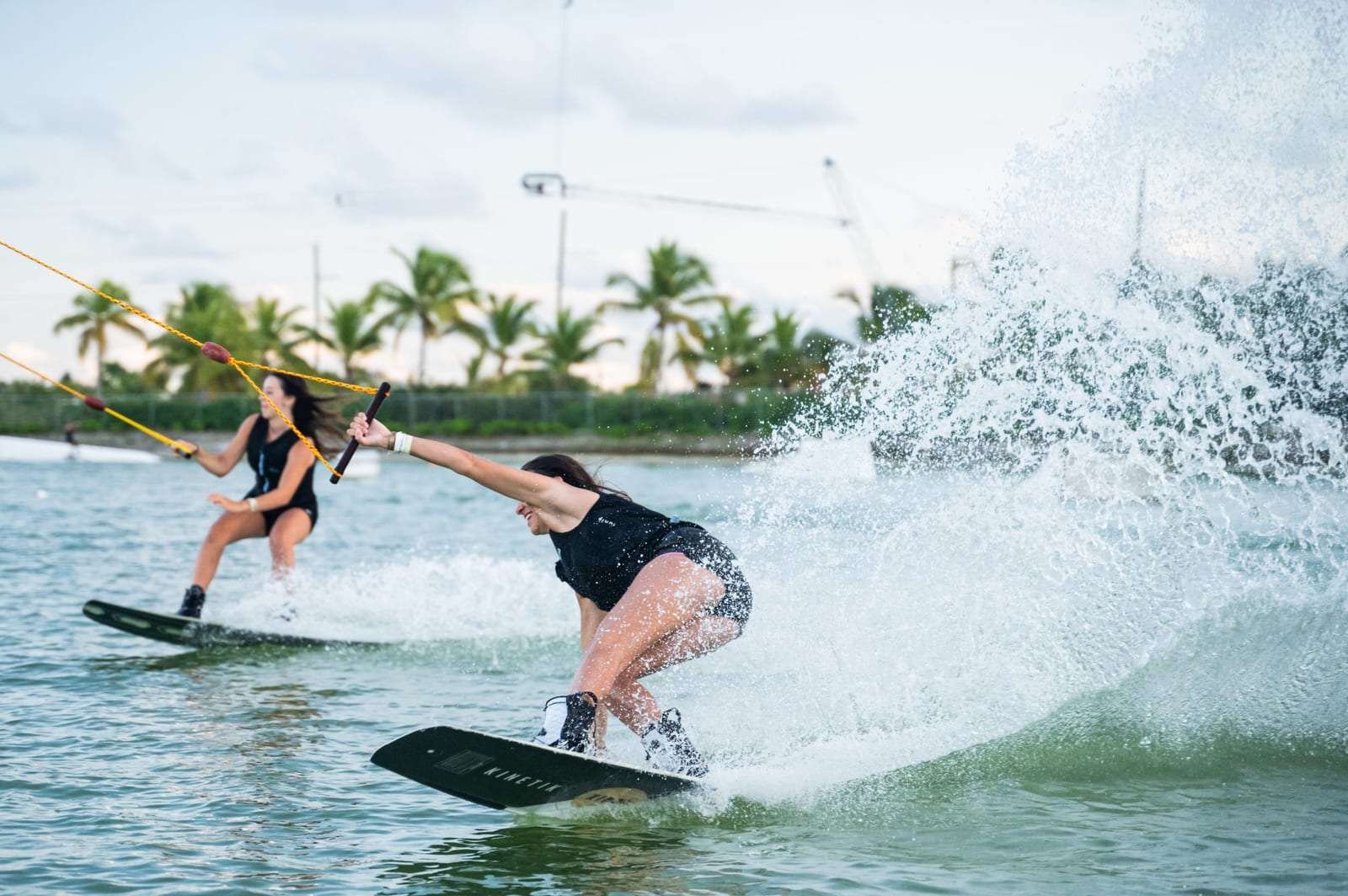 wake school